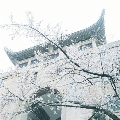 河南法院被控非法强划案外人巨款